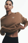 Accolade Crew Neck Pullover - Java Brown